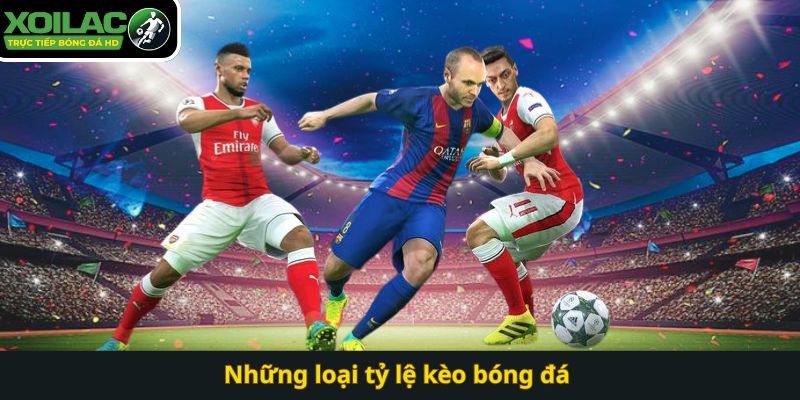 Những loại tỷ lệ kèo bóng đá 